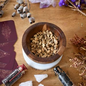 Angelica Root - Herbs and Botanicals - Spellwork - Witchcraft Supplies