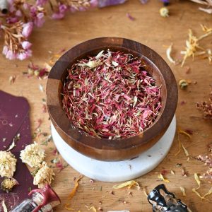 Cornflower Pink - Herbs and Botanicals - Spellwork - Witchcraft Supplies