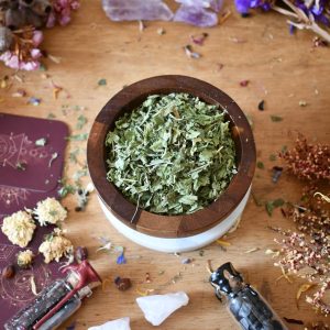 Lemon Verbena - Herbs and Botanicals - Spellwork - Witchcraft Supplies