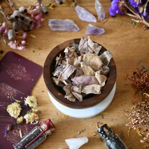 Sacred Lotus Flower - Herbs and Botanicals - Spellwork - Witchcraft Supplies