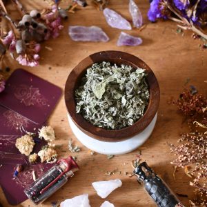 Sage - Herbs and Botanicals - Spellwork - Witchcraft Supplies
